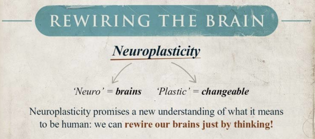 neuroplasticité